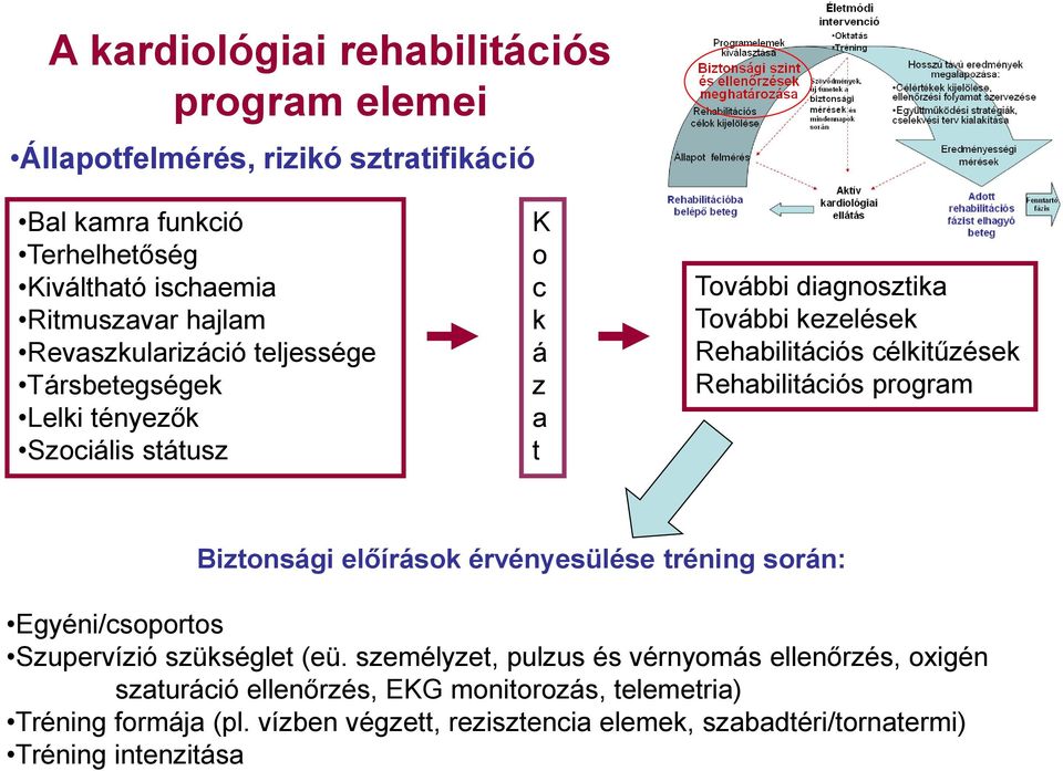 Rehabilitációs program Biztonsági előírások érvényesülése tréning során: Egyéni/csoportos Szupervízió szükséglet (eü.