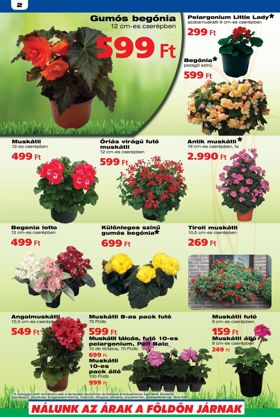 tálcás, futó 10-es pelargonium, Pelt Balc 10 db tő/tálca, 70 Ft/db 699 Ft Muskátli 10-es pack álló 100 Ft/db 999 Ft Muskátli futó 9 cm-es cserépben 159 Ft Muskátli álló 9 cm-es cserépben 249 Ft A