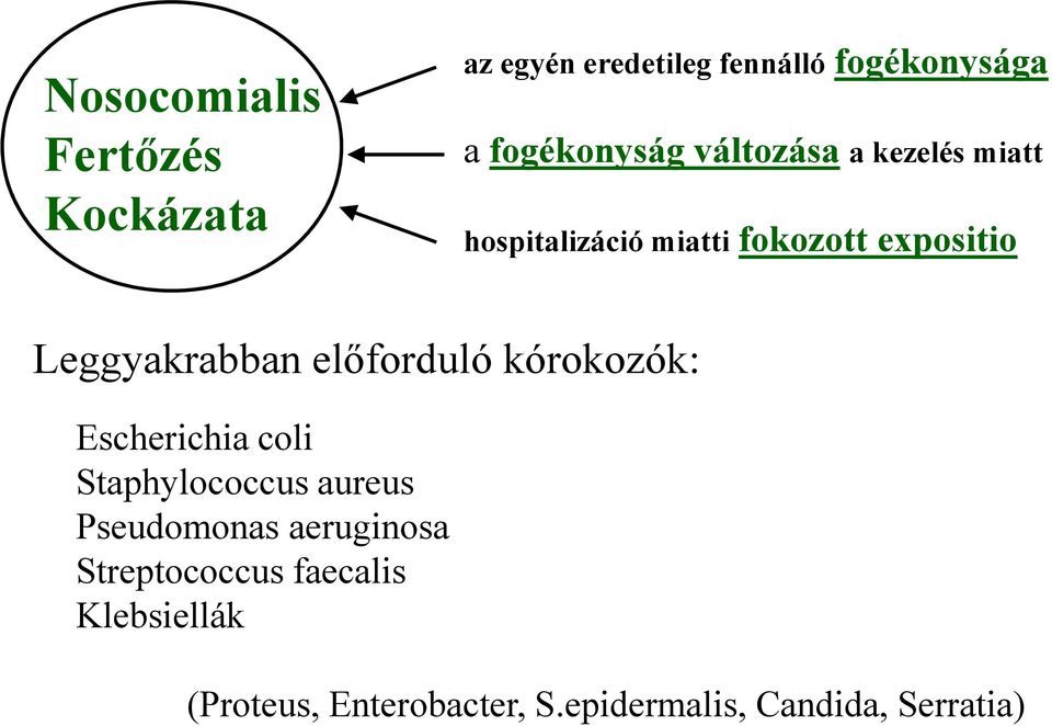 Leggyakrabban előforduló kórokozók: Escherichia coli Staphylococcus aureus Pseudomonas