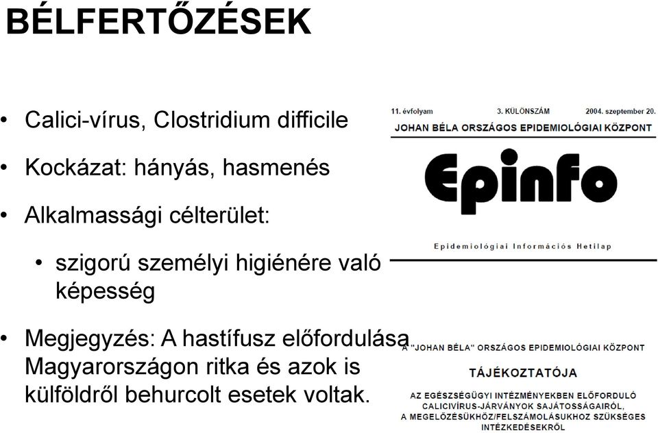 higiénére való képesség Megjegyzés: A hastífusz előfordulása