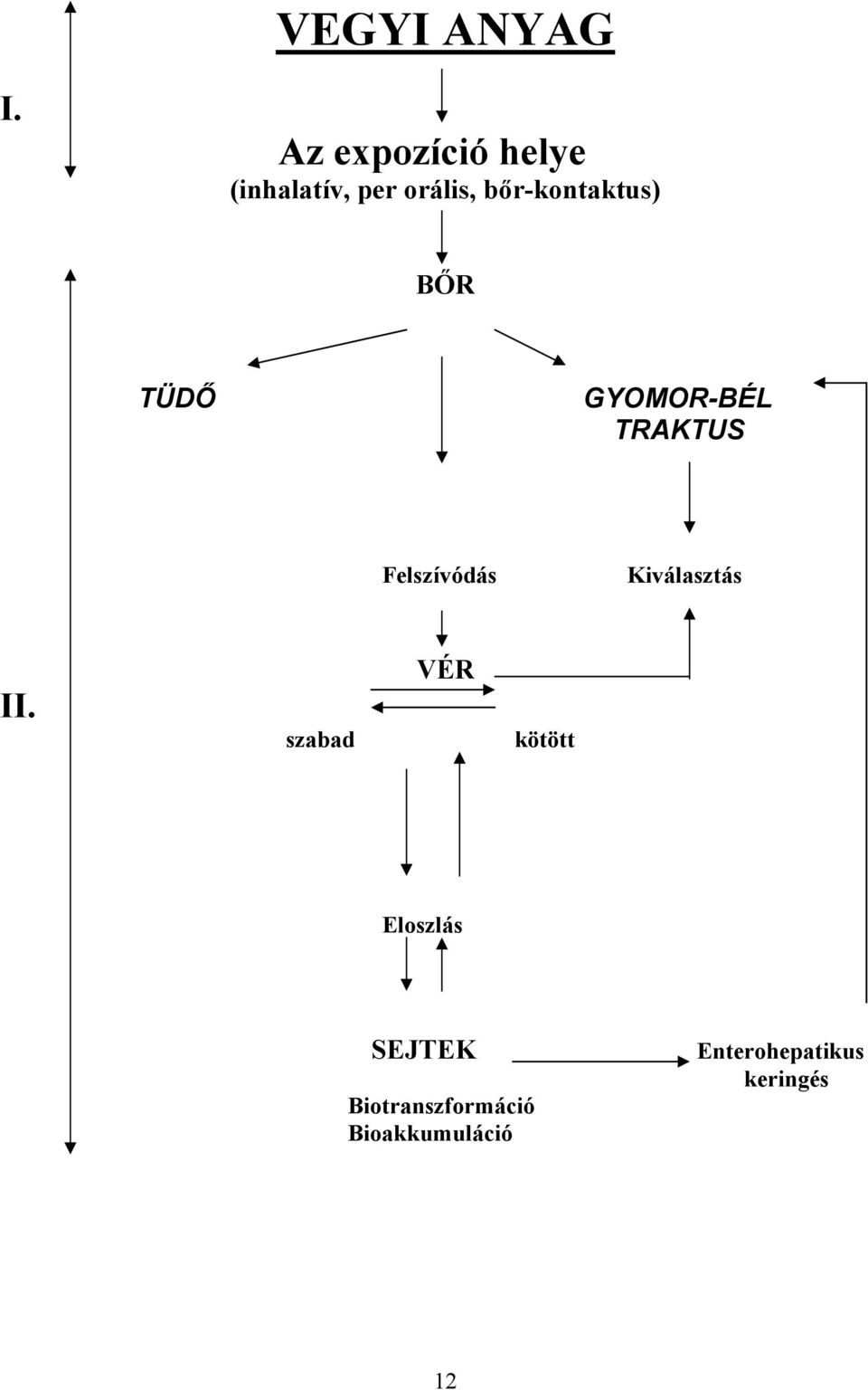 bőr-kontaktus) BŐR TÜDŐ GYOMOR-BÉL TRAKTUS Felszívódás