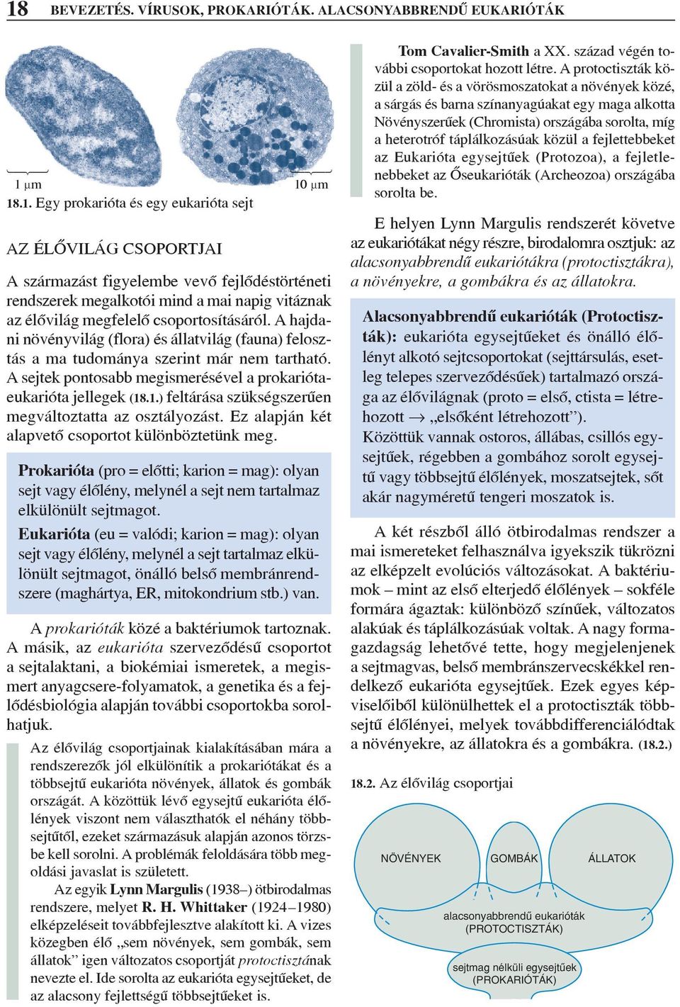 A sejtek pontosabb megismerésével a prokariótaeukarióta jellegek (18.1.) feltárása szükségszerûen megváltoztatta az osztályozást. Ez alapján két alapvetõ csoportot különböztetünk meg.