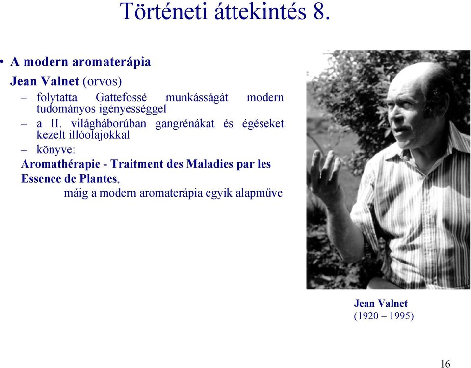 tudományos igényességgel modern a II.