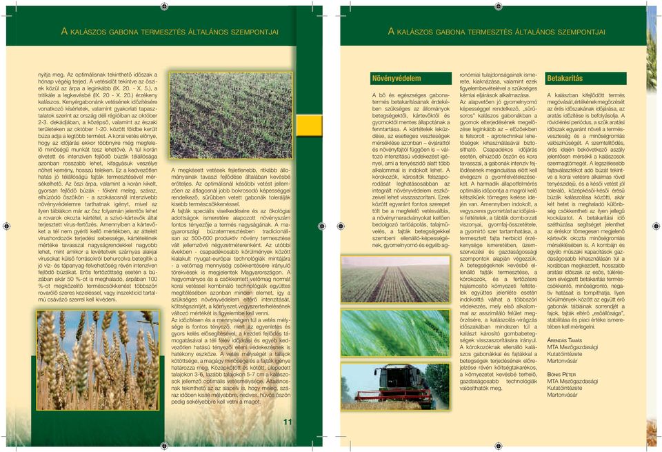 Kenyérgabonánk vetésének időzítésére vonatkozó kísérletek, valamint gyakorlati tapasztalatok szerint az ország déli régióiban az október 2-3.