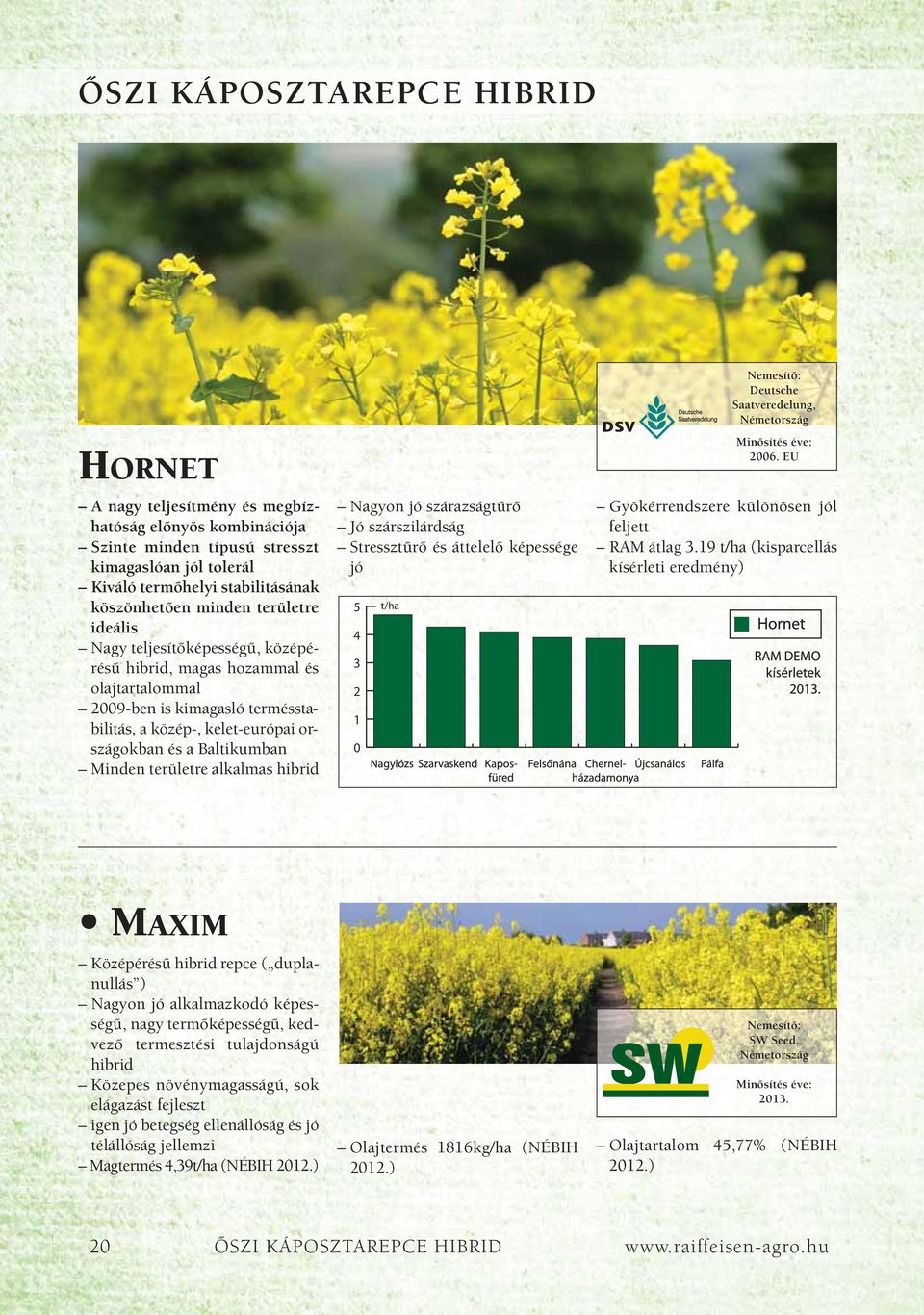 területre alkalmas hibrid Nagyon jó szárazságtûrô Jó szárszilárdság Stressztûrô és áttelelô képessége jó 5 4 3 2 1 t/ha Deutsche Saatveredelung, Németország 26.