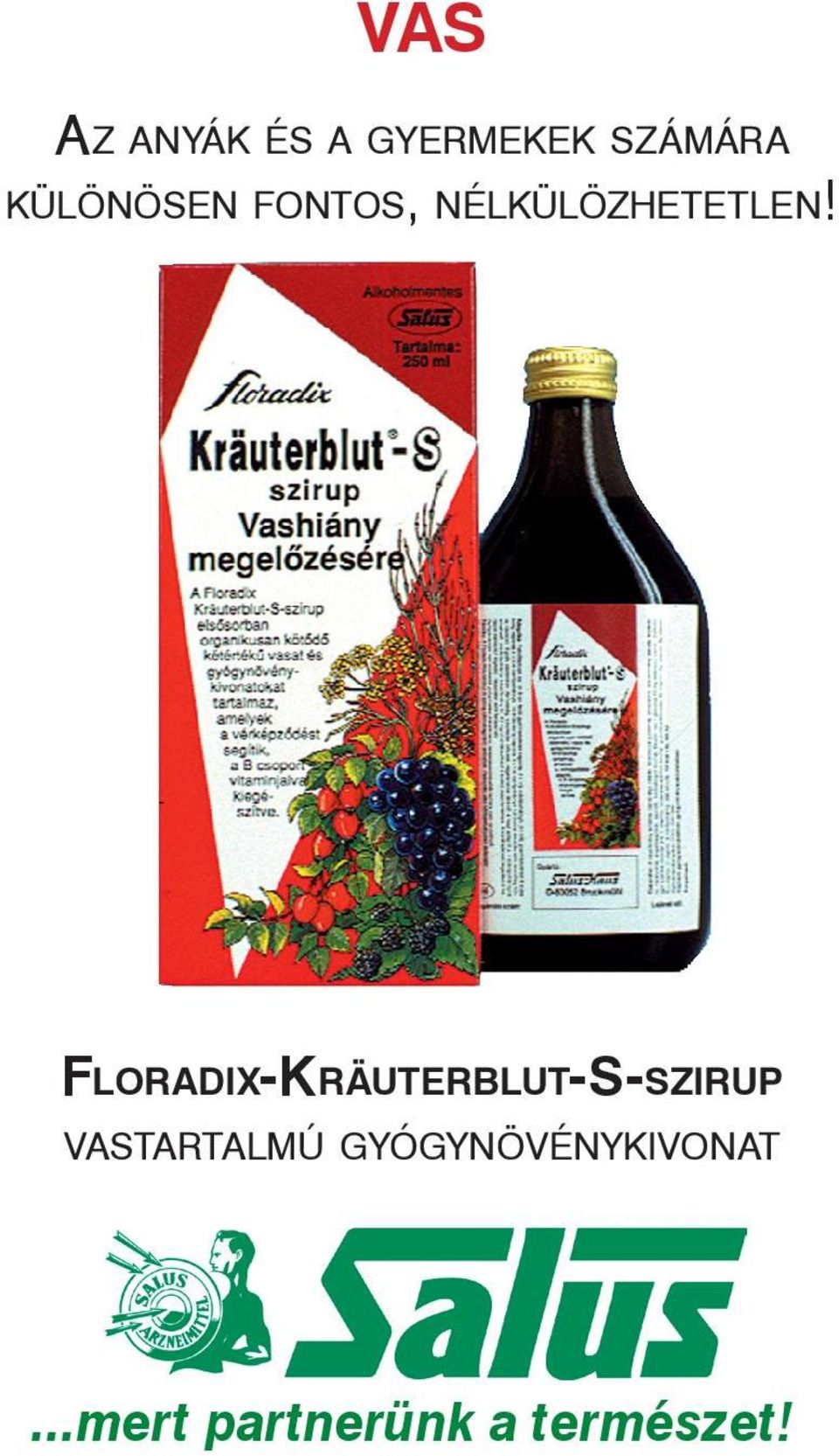 FLORADIX-KRÄUTERBLUT-S-SZIRUP