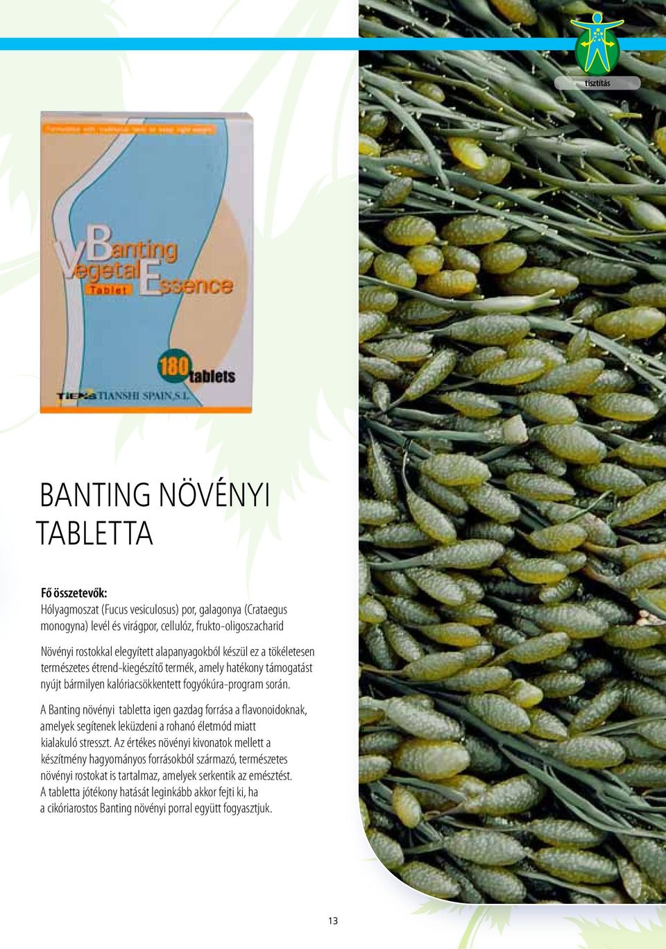 A Banting növényi tabletta igen gazdag forrása a flavonoidoknak, amelyek segítenek leküzdeni a rohanó életmód miatt kialakuló stresszt.