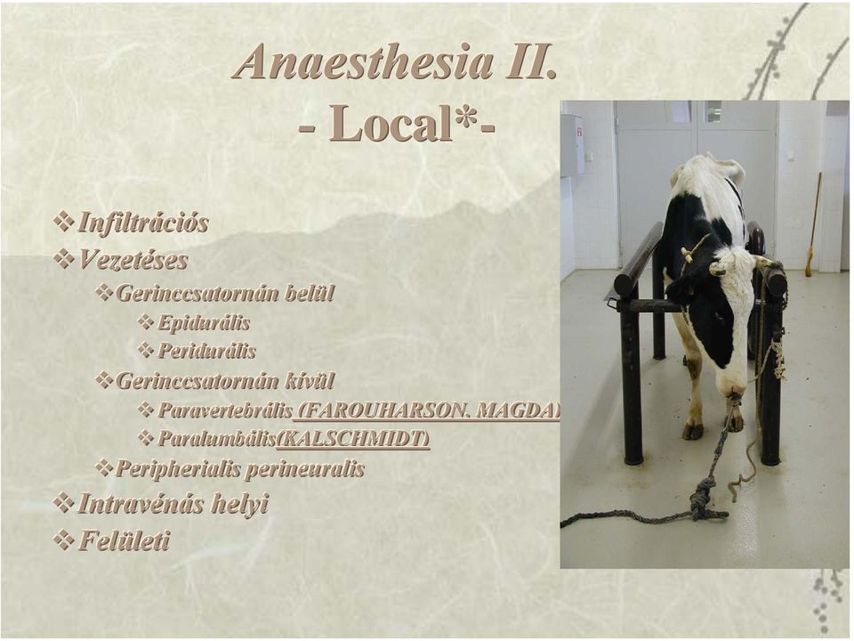 Epidurális Peridurális Gerinccsatornán kívül Paravertebrális