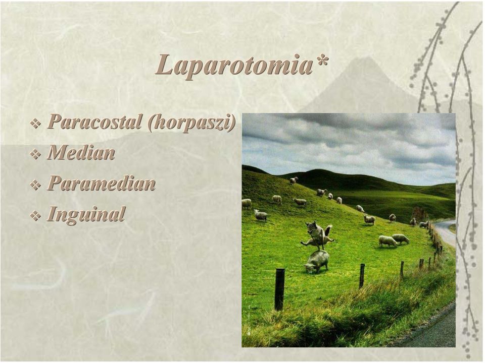 (horpaszi