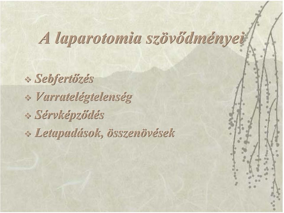 Sebfertőzés