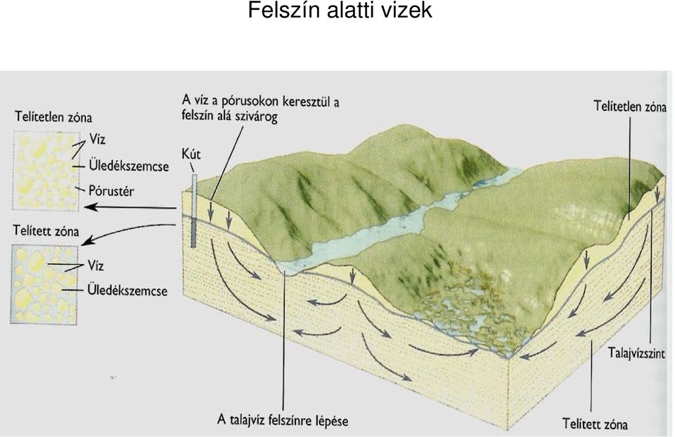 vizek