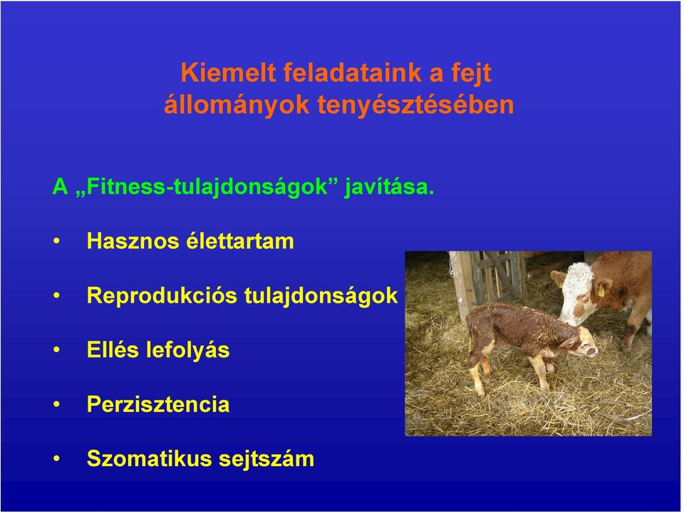 javítása.