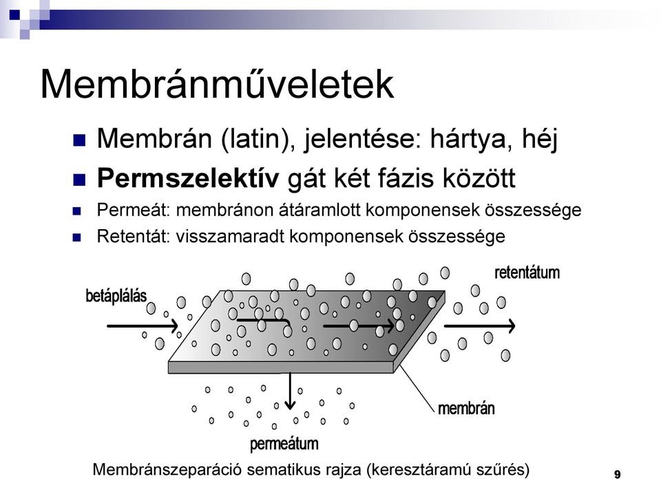 átáramlott komponensek összessége Retentát: visszamaradt