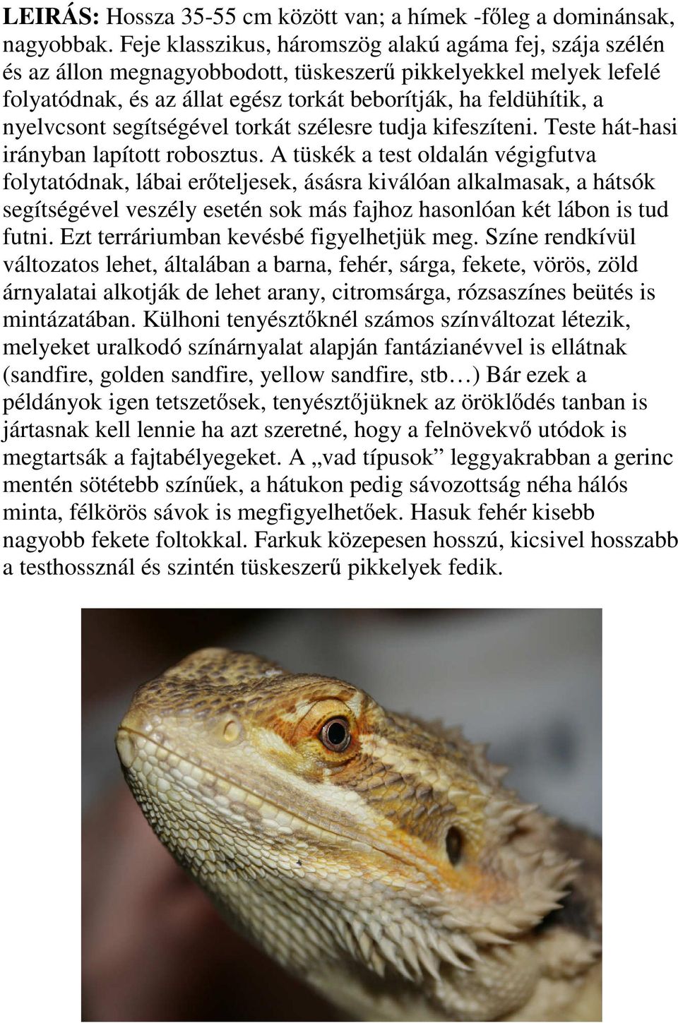 nyelvcsont segítségével torkát szélesre tudja kifeszíteni. Teste hát-hasi irányban lapított robosztus.