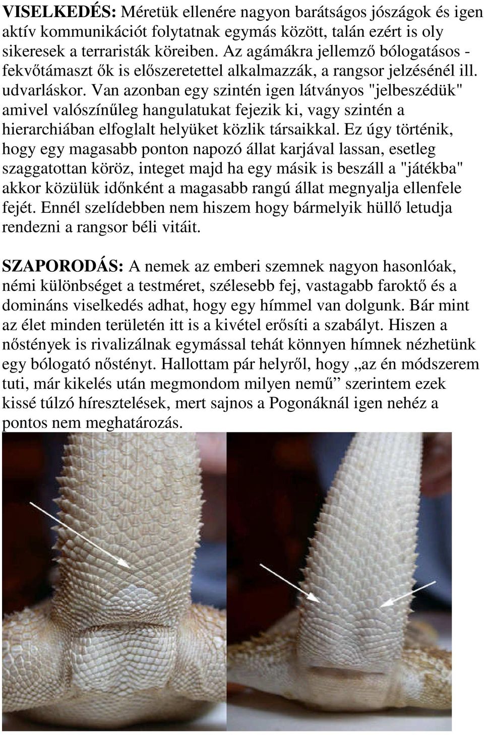 Van azonban egy szintén igen látványos "jelbeszédük" amivel valószínűleg hangulatukat fejezik ki, vagy szintén a hierarchiában elfoglalt helyüket közlik társaikkal.