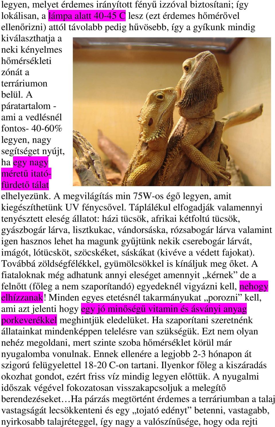 A páratartalom - ami a vedlésnél fontos- 40-60% legyen, nagy segítséget nyújt, ha egy nagy méretű itatófürdető tálat elhelyezünk.