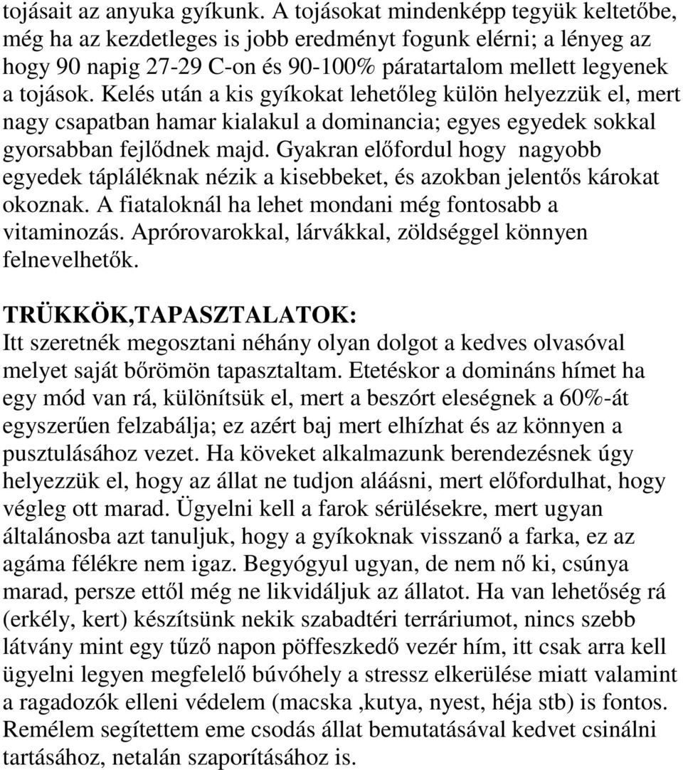 Kelés után a kis gyíkokat lehetőleg külön helyezzük el, mert nagy csapatban hamar kialakul a dominancia; egyes egyedek sokkal gyorsabban fejlődnek majd.