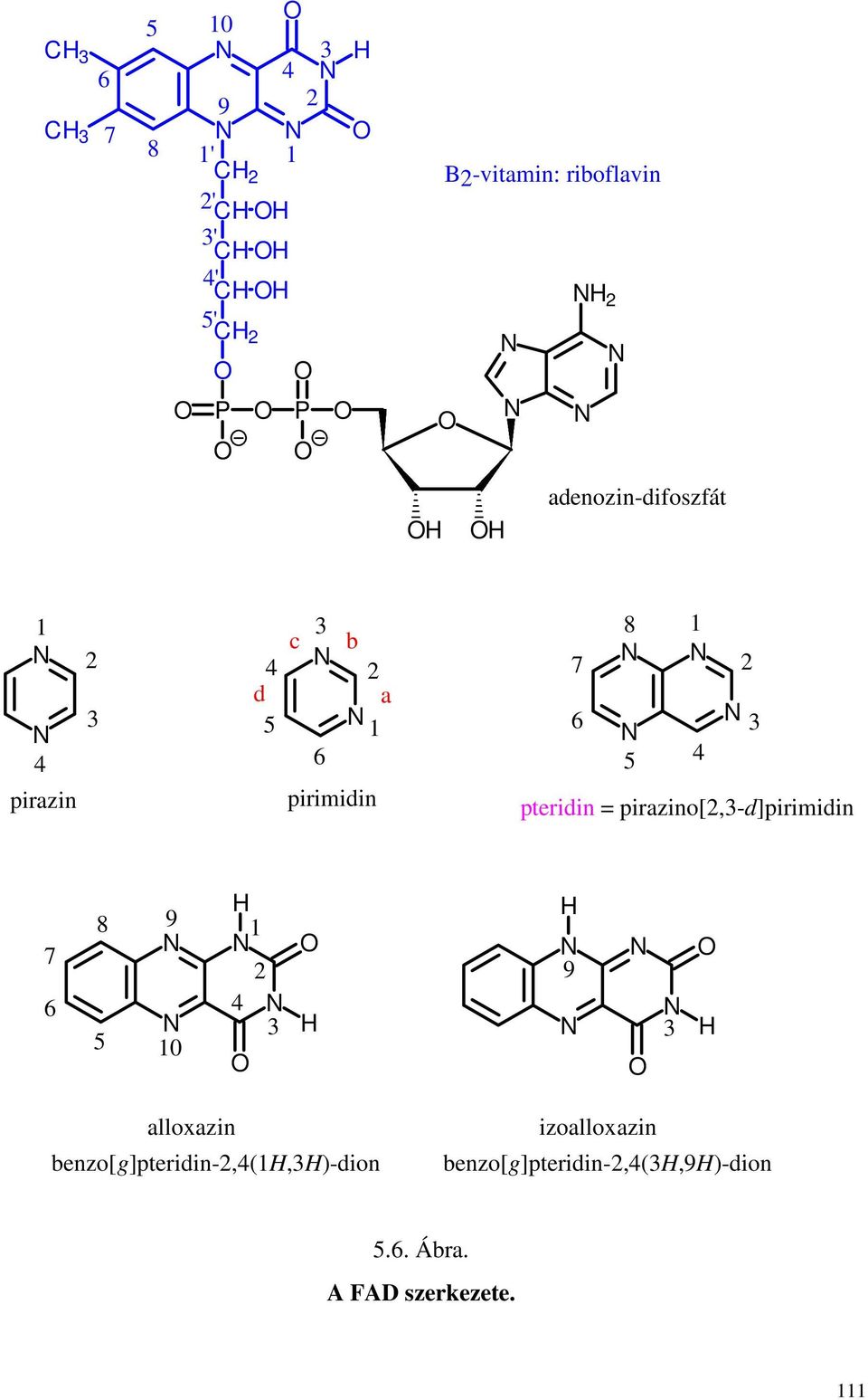 pteridin = pirazino[2,3-d]pirimidin 7 6 8 9 5 10 1 2 4 3 9 3 alloxazin