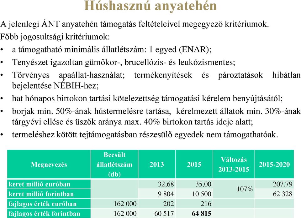 pároztatások hibátlan bejelentése NÉBIH-hez; hat hónapos birtokon tartási kötelezettség támogatási kérelem benyújtásától; borjak min. 50%-ának hústermelésre tartása, kérelmezett állatok min.