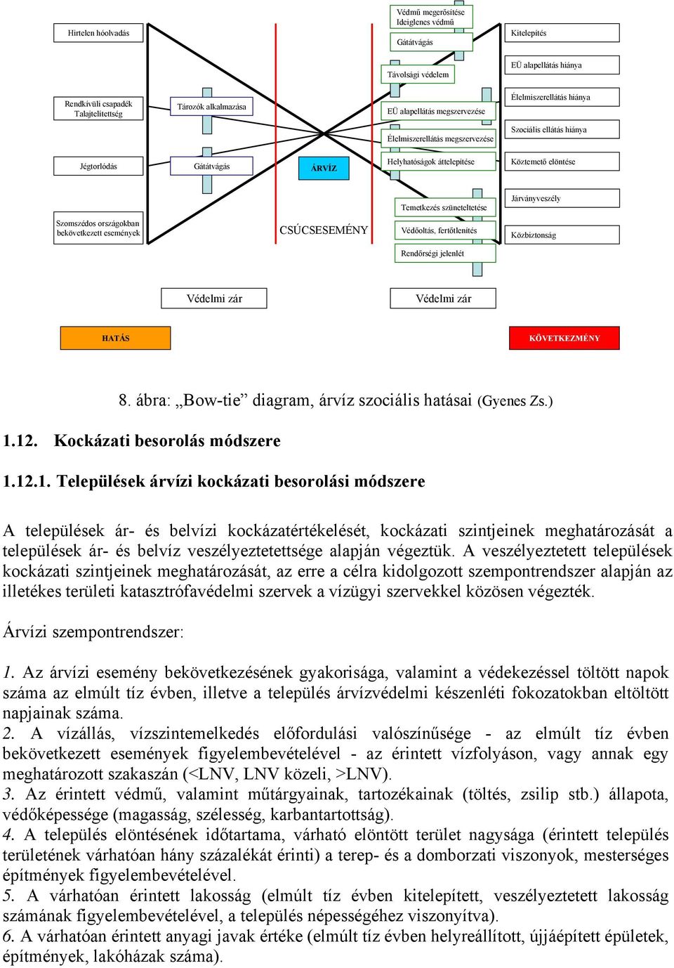 Járványveszély Szomszédos országokban bekövetkezett események CSÚCSESEMÉNY Védőoltás, fertőtlenítés Közbiztonság Rendőrségi jelenlét Védelmi zár Védelmi zár HATÁS KÖVETKEZMÉNY 8.