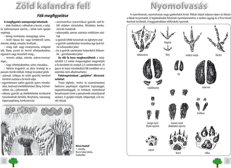 .. virág: szél- vagy rovarporozta, virágzási idő, illata, porzó és termő elhelyezkedése, egyszerű vagy összetett virág... termés: alakja, mérete, száma-mennyisége.