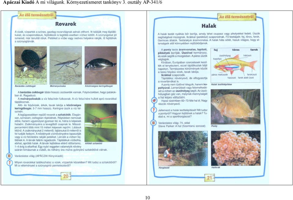 a mi világunk kornyezetismeret 4 osztály pdf 2019