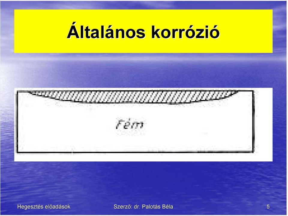Szerző: dr.