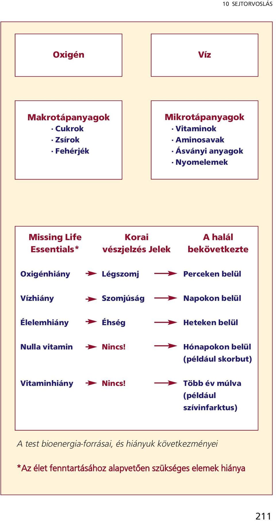 belül Élelemhiány Éhség Heteken belül Nulla vitamin Nincs! Hónapokon belül (például skorbut) Vitaminhiány Nincs!