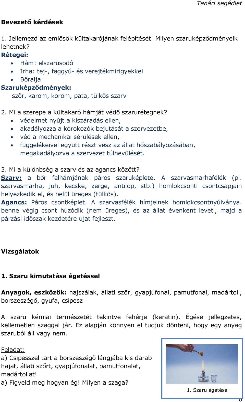 védelmet nyújt a kiszáradás ellen, akadályozza a kórokozók bejutását a szervezetbe, véd a mechanikai sérülések ellen, függelékeivel együtt részt vesz az állat hőszabályozásában, megakadályozva a