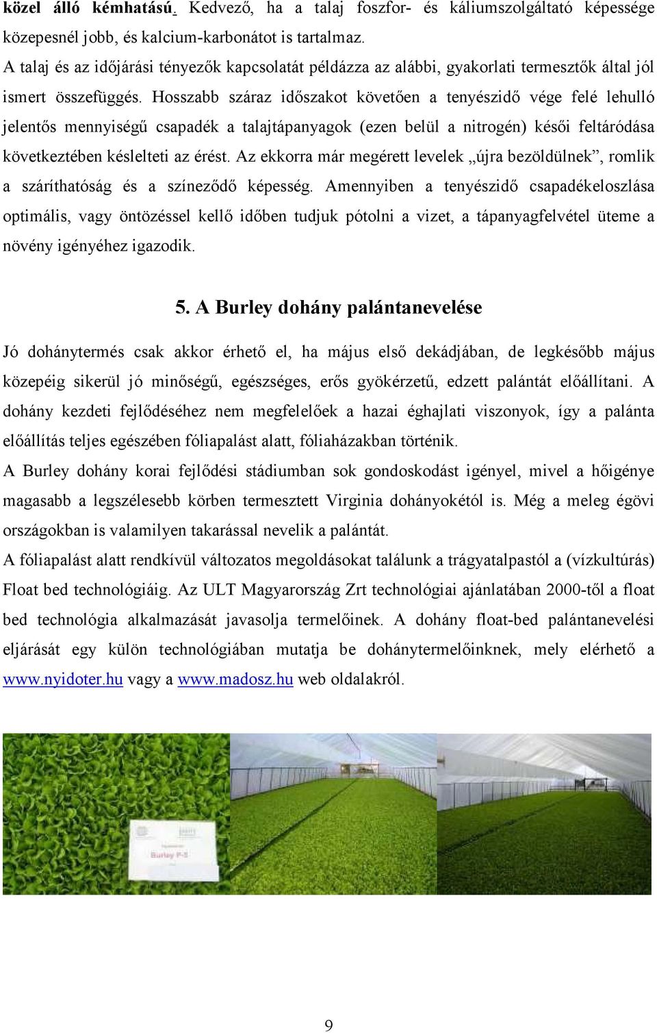 Hosszabb száraz időszakot követően a tenyészidő vége felé lehulló jelentős mennyiségű csapadék a talajtápanyagok (ezen belül a nitrogén) késői feltáródása következtében késlelteti az érést.