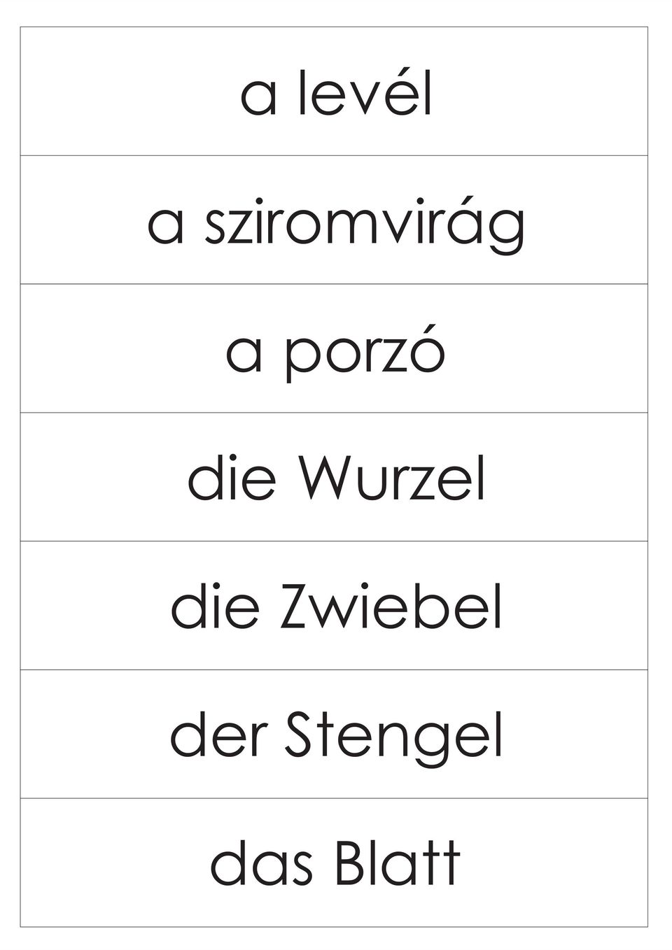 porzó die Wurzel