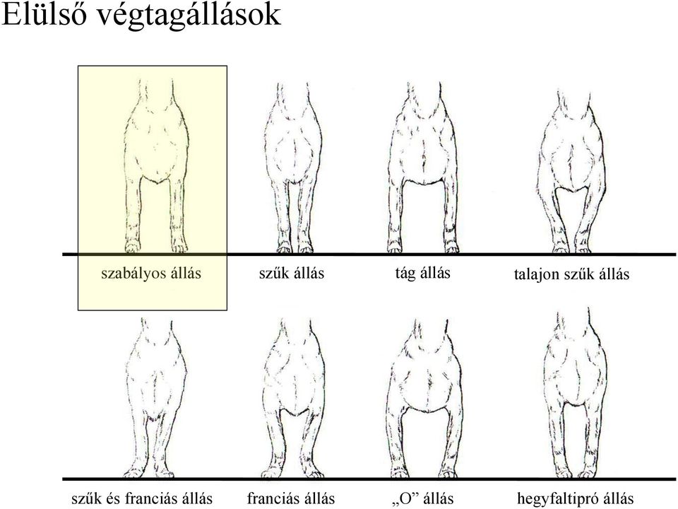 szűk állás szűk és franciás állás