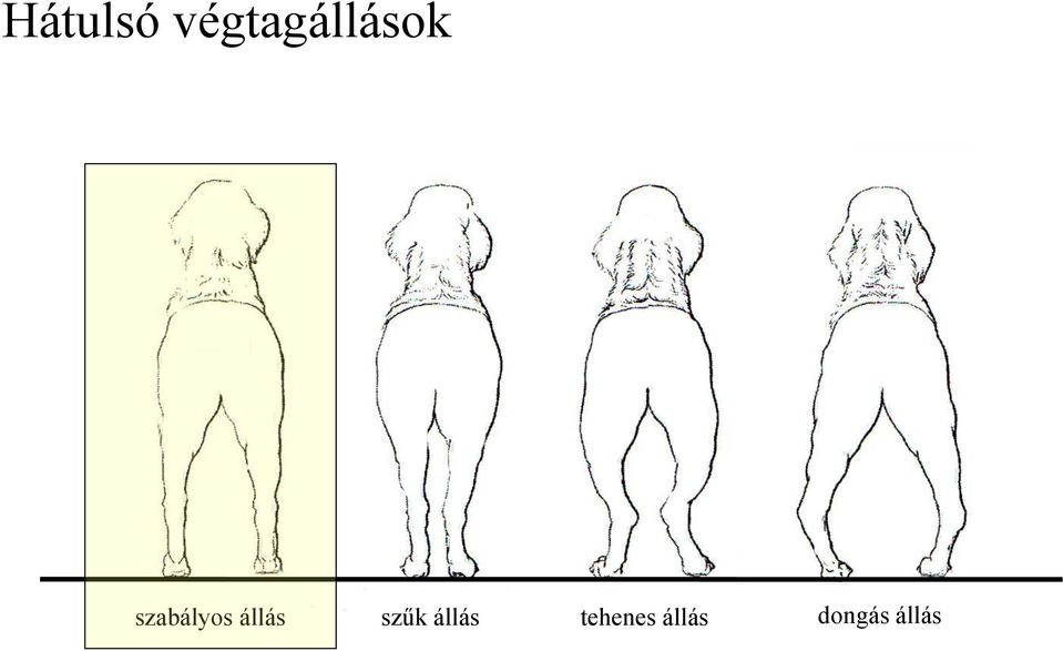 szabályos állás