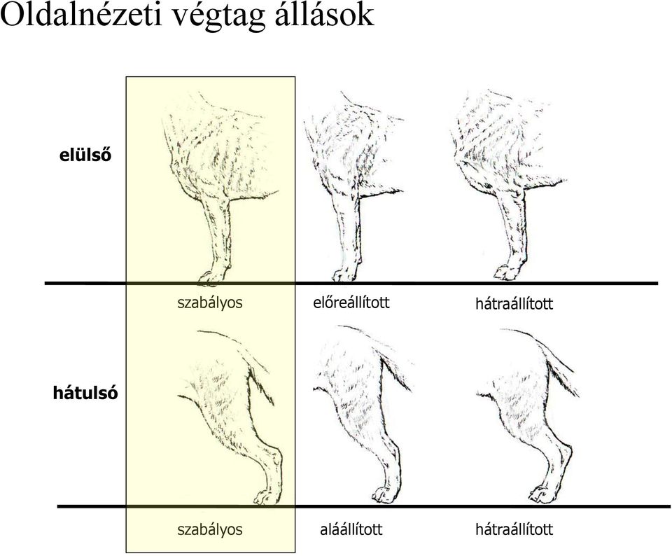 előreállított hátraállított