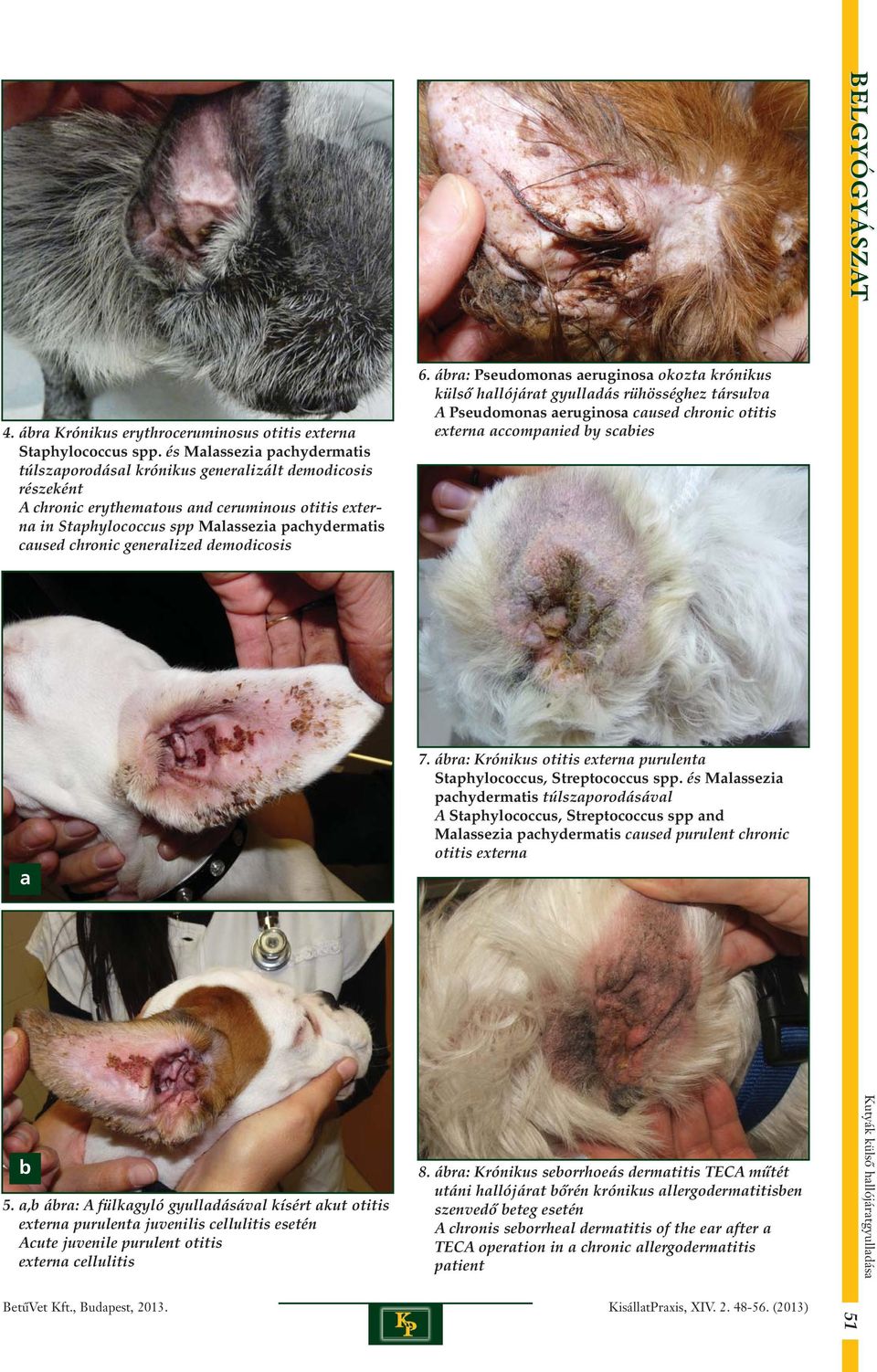 chronic generalized demodicosis 6.