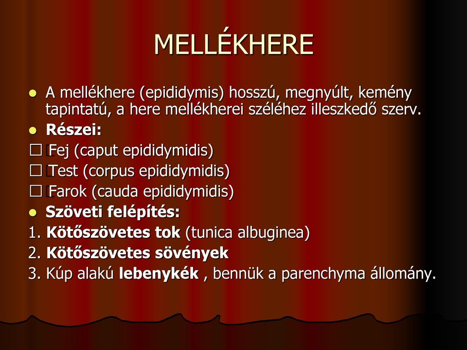 Részei: Fej (caput epididymidis) Test (corpus epididymidis) Farok (cauda