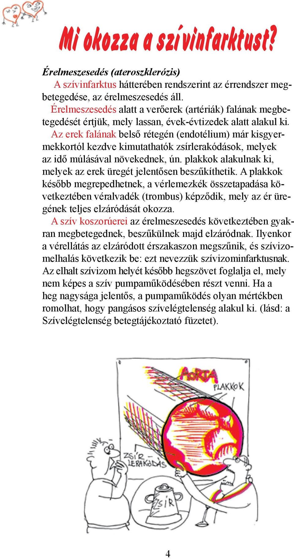 Az erek falának belső rétegén (endotélium) már kisgyermekkortól kezdve kimutathatók zsírlerakódások, melyek az idő múlásával növekednek, ún.