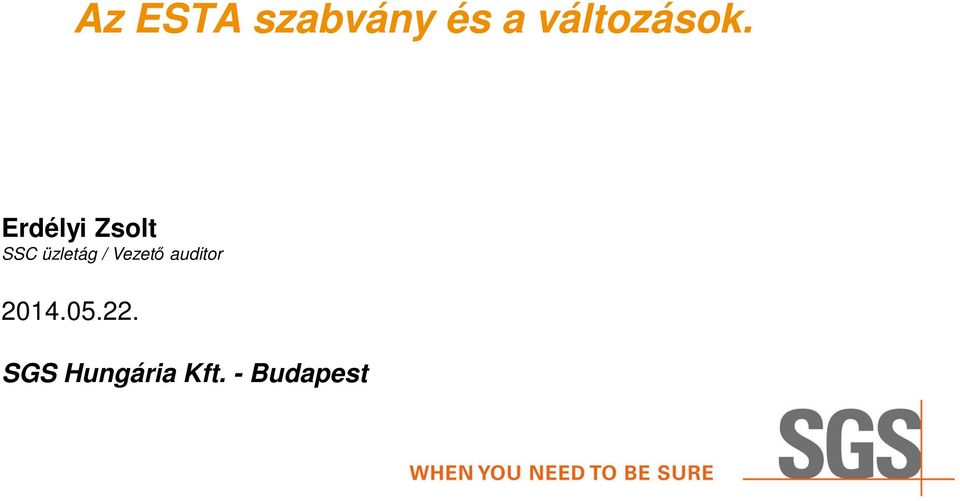 Erdélyi Zsolt SSC üzletág /