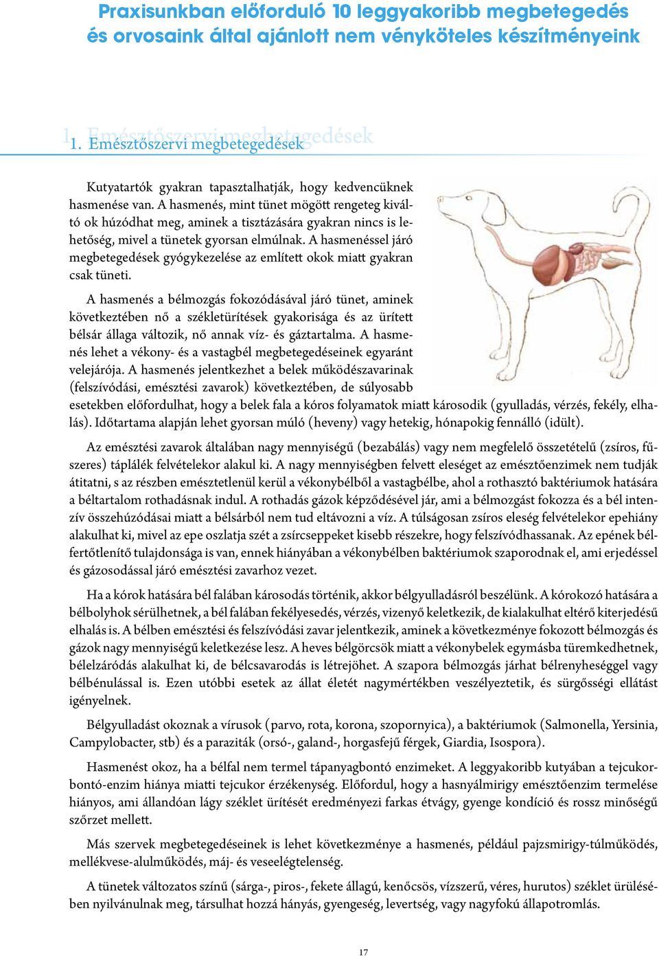 A hasmenés, mint tünet mögött rengeteg kiváltó ok húzódhat meg, aminek a tisztázására gyakran nincs is lehetőség, mivel a tünetek gyorsan elmúlnak.