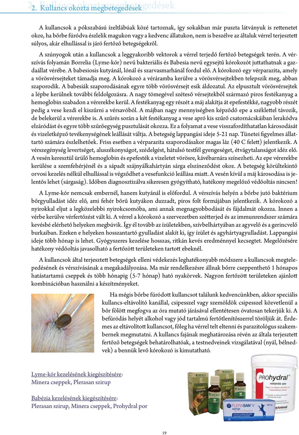 nem is beszélve az általuk vérrel terjesztett súlyos, akár elhullással is járó fertőző betegségekről. A szúnyogok után a kullancsok a leggyakoribb vektorok a vérrel terjedő fertőző betegségek terén.