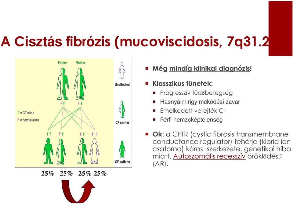 - Férfi nemzőképtelenség 25% 25% 25% 25% Ok: a CFTR (cystic fibrosis transmembrane conductance