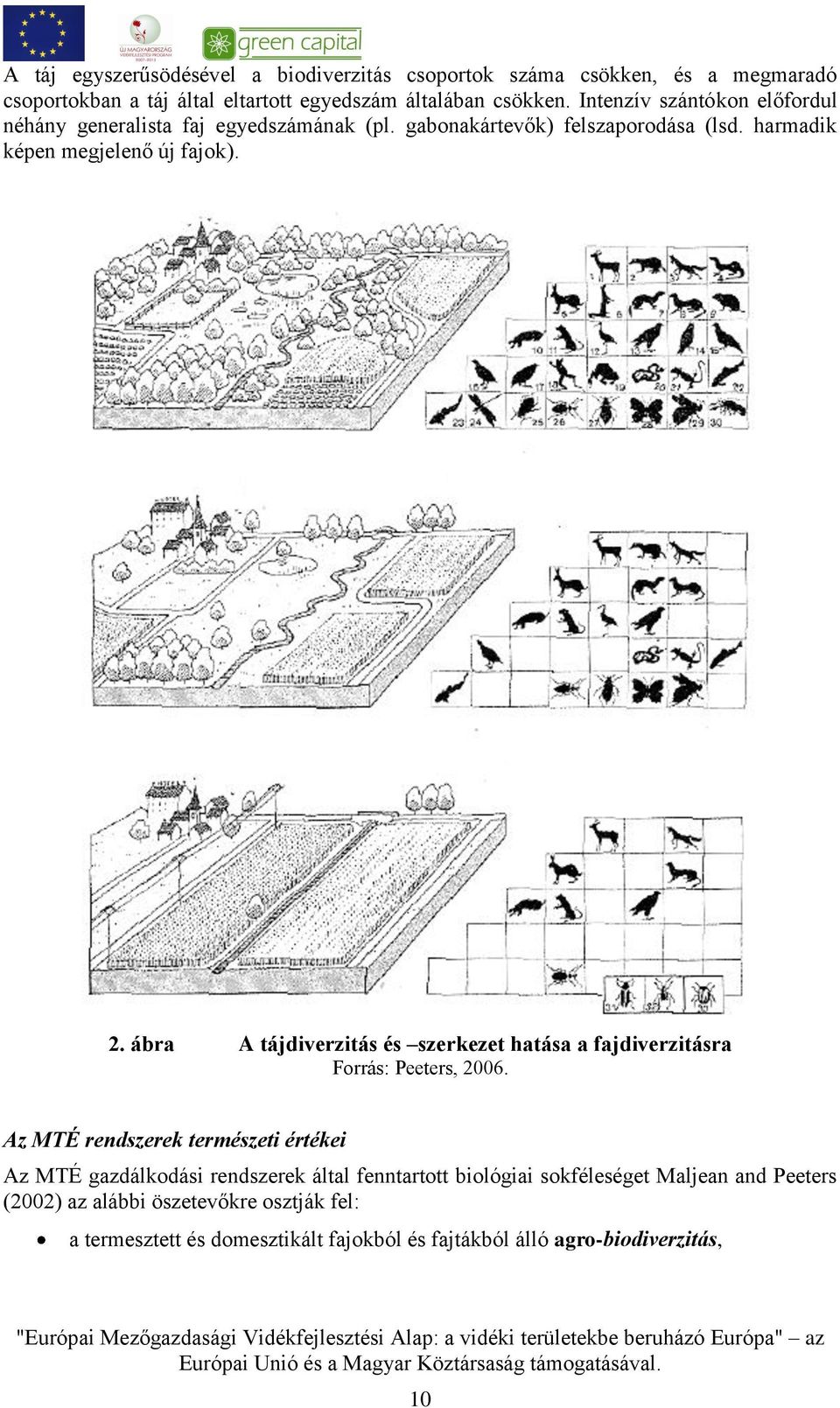 ábra A tájdiverzitás és szerkezet hatása a fajdiverzitásra Forrás: Peeters, 2006.