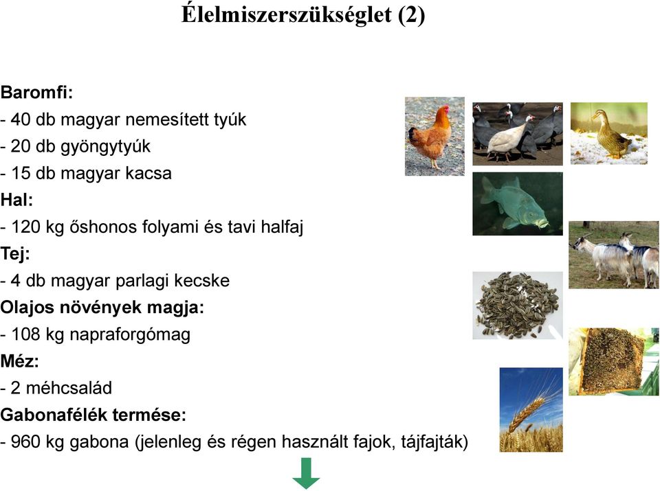 - 4 db magyar parlagi kecske Olajos növények magja: - 108 kg napraforgómag Méz: -