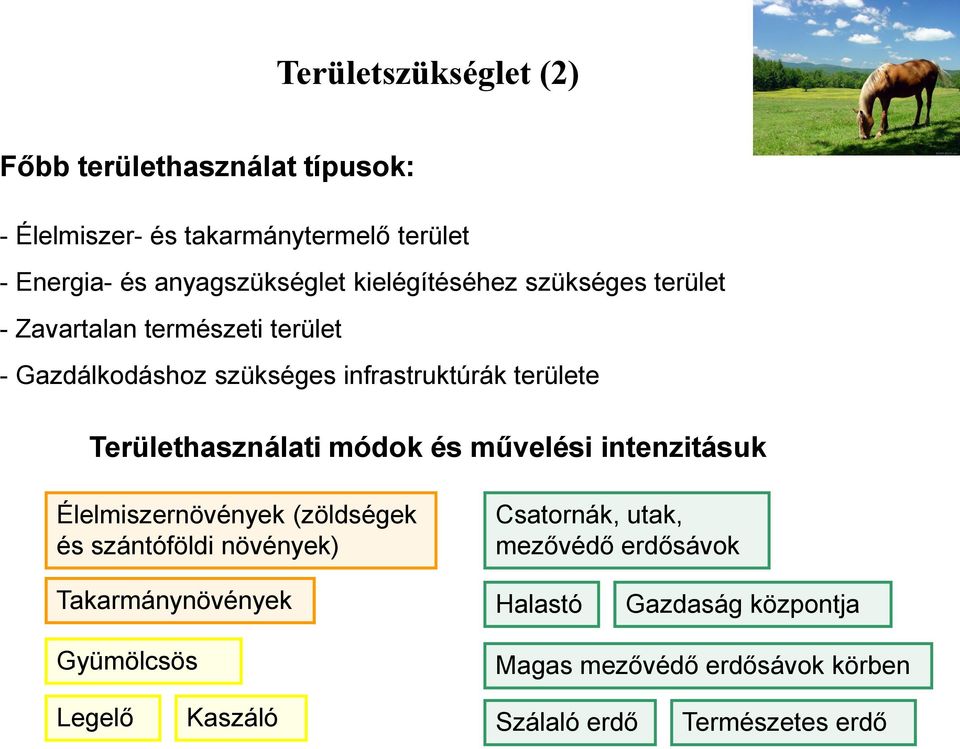 Területhasználati módok és művelési intenzitásuk Élelmiszernövények (zöldségek és szántóföldi növények) Csatornák, utak,