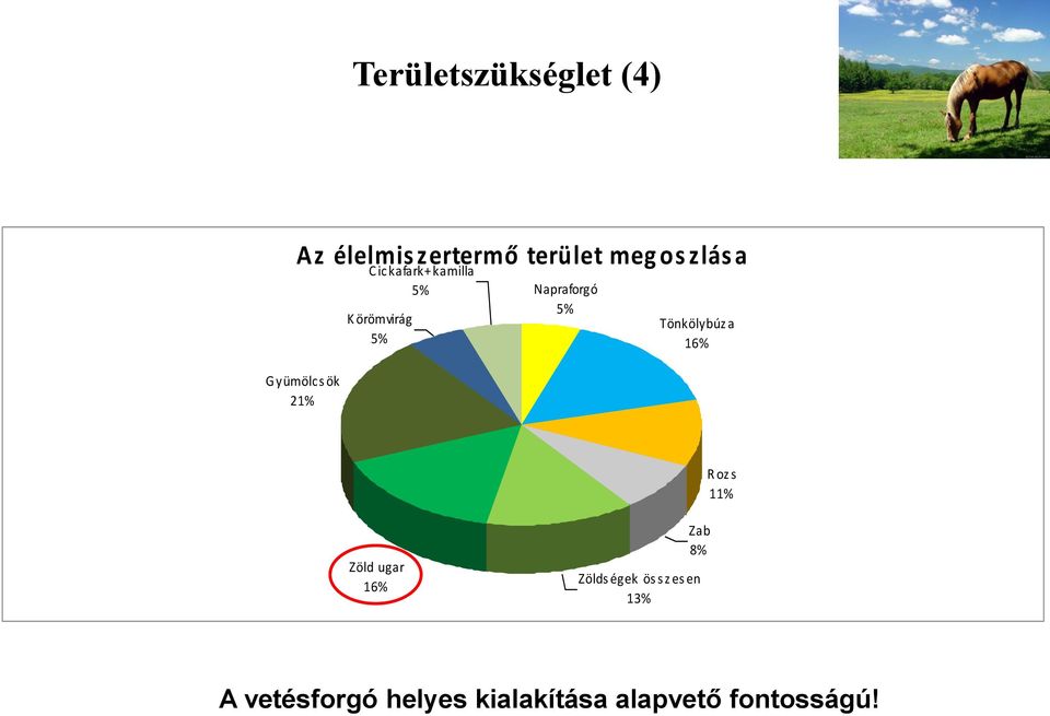 5% Tönkölybúz a 16% R oz s 11% Zöld ugar 16% Zab 8% Zölds égek ös