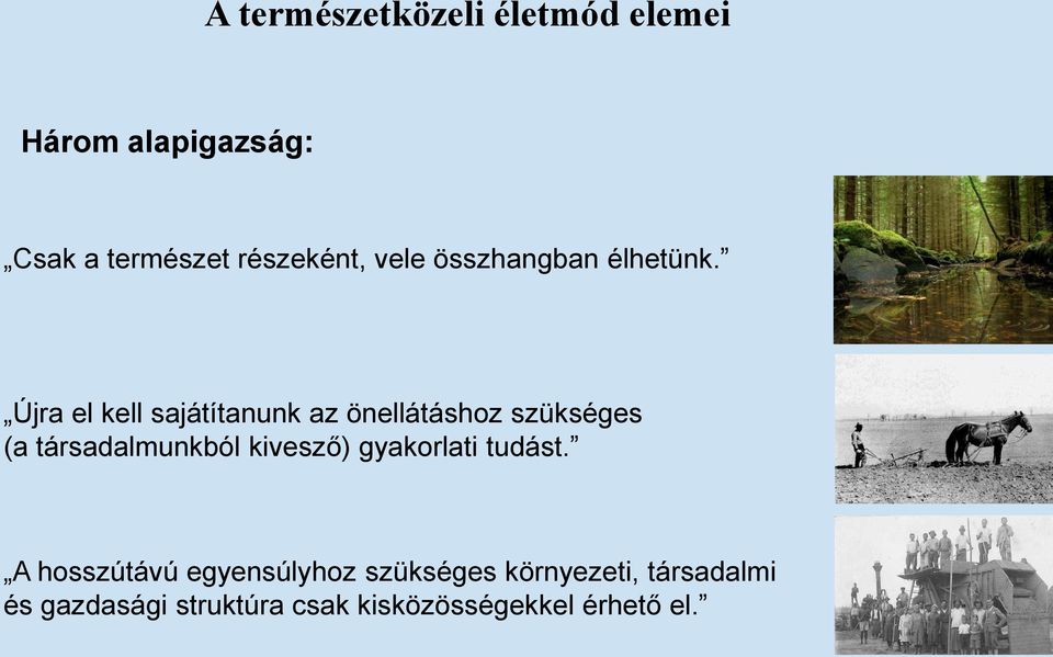 Újra el kell sajátítanunk az önellátáshoz szükséges (a társadalmunkból kivesző)