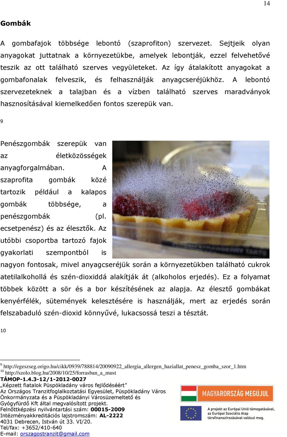 A lebontó szervezeteknek a talajban és a vízben található szerves maradványok hasznosításával kiemelkedően fontos szerepük van. 9 Penészgombák szerepük van az életközösségek anyagforgalmában.