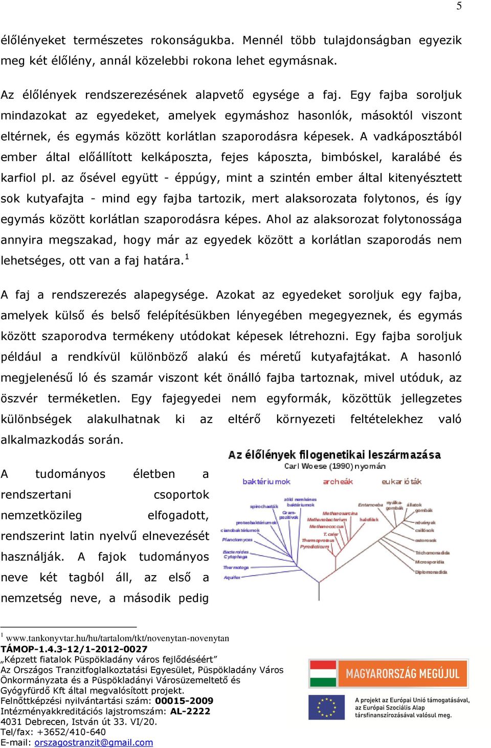 A vadkáposztából ember által előállított kelkáposzta, fejes káposzta, bimbóskel, karalábé és karfiol pl.