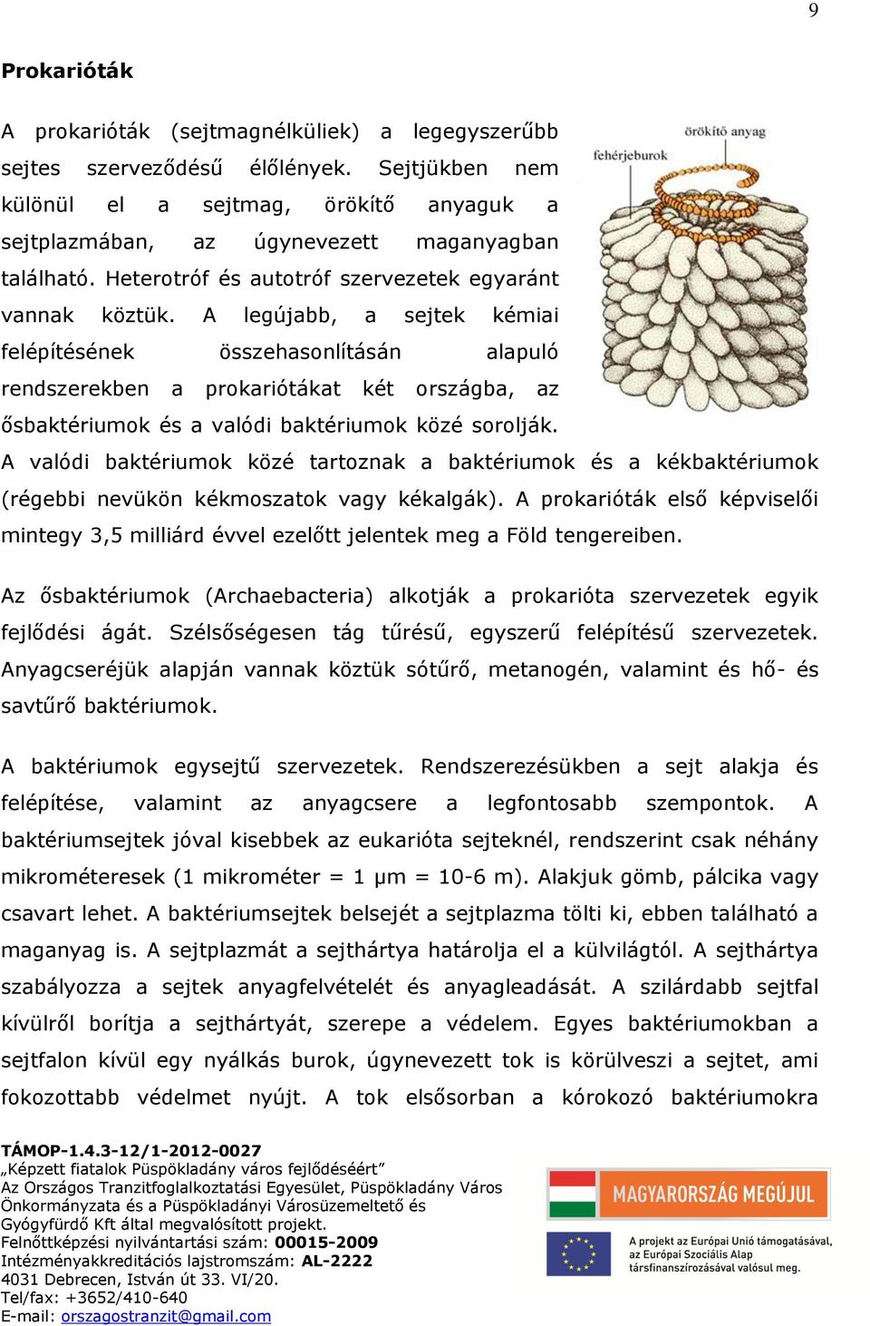 A legújabb, a sejtek kémiai felépítésének összehasonlításán alapuló rendszerekben a prokariótákat két országba, az ősbaktériumok és a valódi baktériumok közé sorolják.