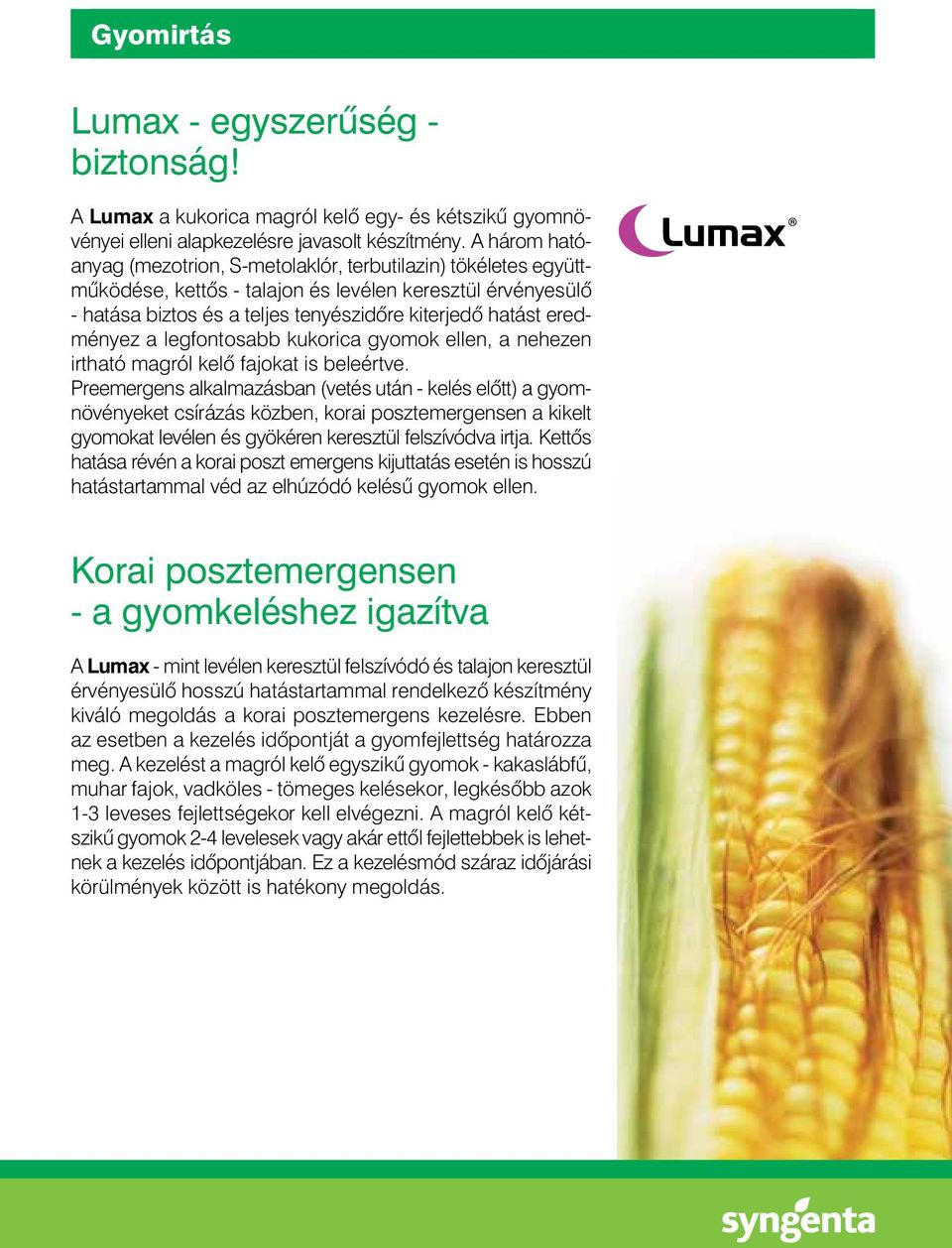eredményez a legfontosabb kukorica gyomok ellen, a nehezen irtható magról kelô fajokat is beleértve.